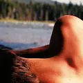 Саня из Полысаева, мне 33, познакомлюсь с девушкой для регулярного секса